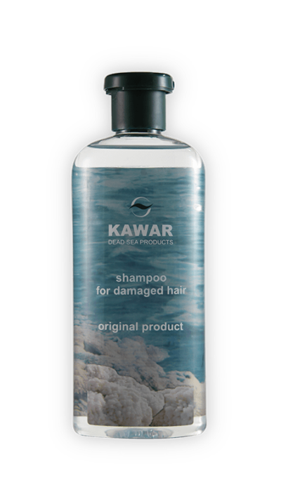 Hair Shampoo For Damaged Hair  13.5 Fl Oz.